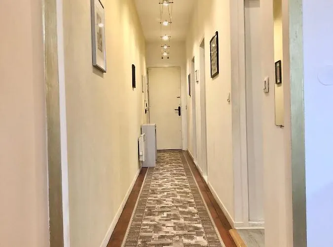 Bordorent * ボルドー